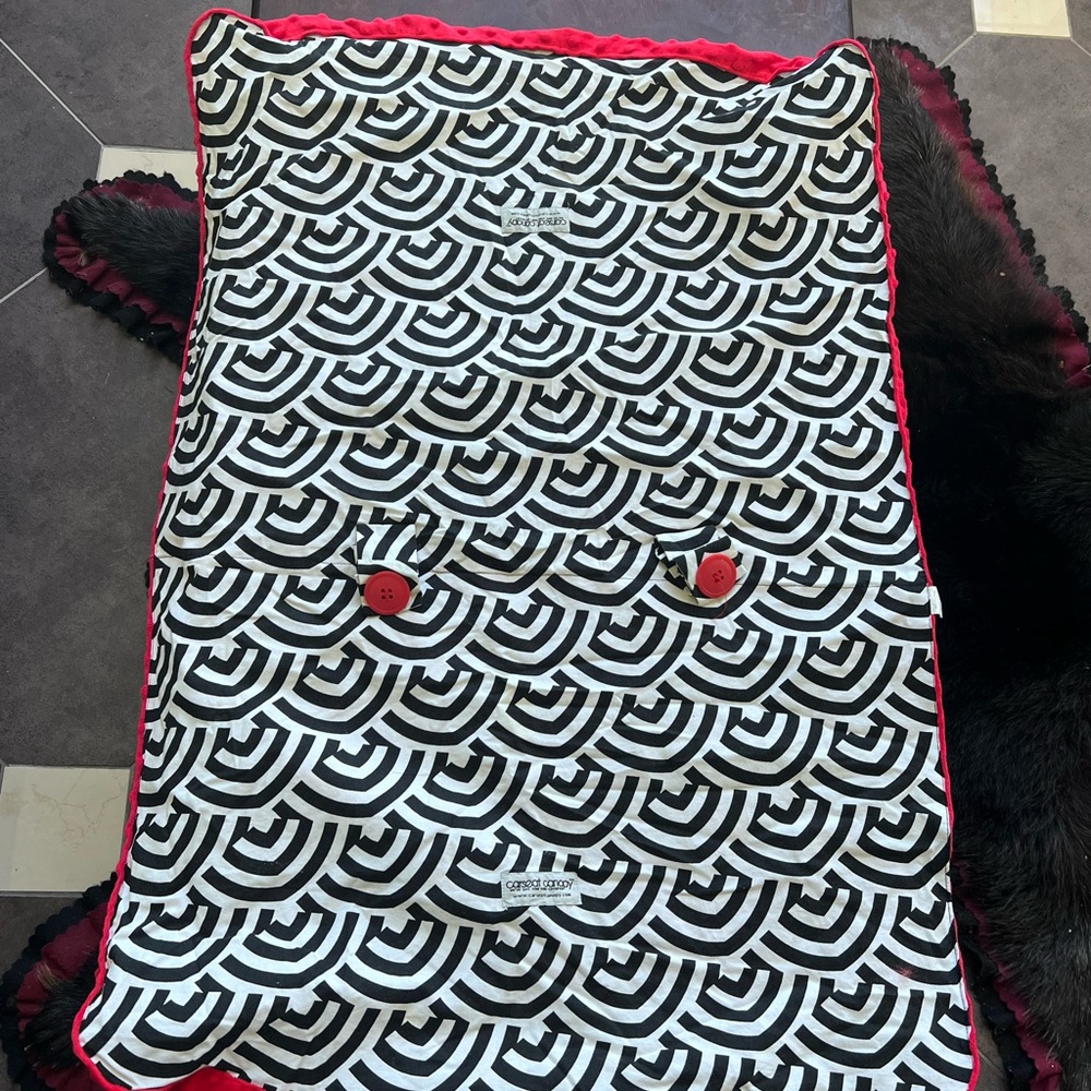 Car seat Canopy
